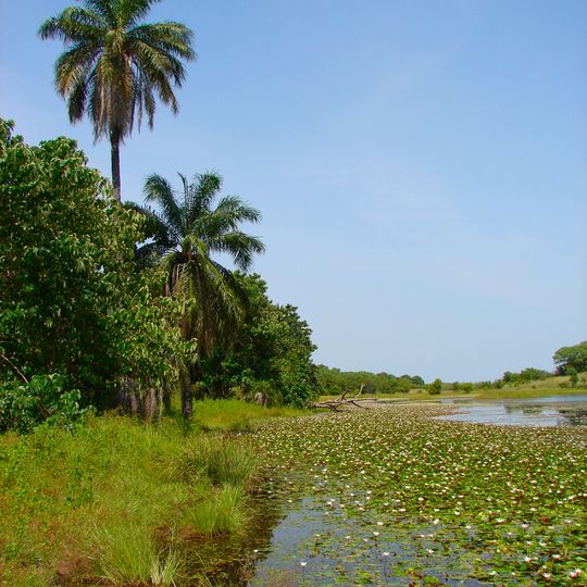 Parco nazionale di Kiang Ouest