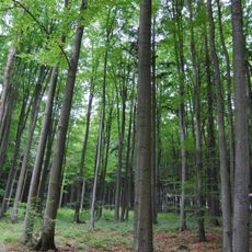 Velký a Malý Kamýk