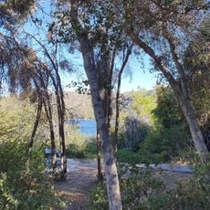 Sawpit Canyon