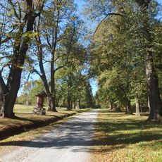 Alej na Uhlířský vrch