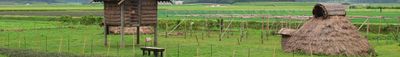 Panoramik Görünüm 1