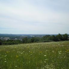 Bílé stráně u Štětí