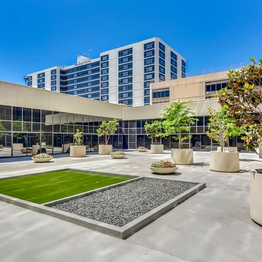 Hilton