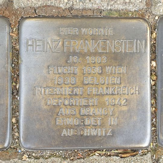 Stolperstein dedicated to Martin Frankenstein