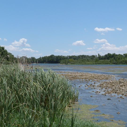 Reserva natural dirigida de los Sotos y Galachos del Ebro