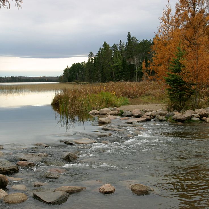 Parc d'État Itasca