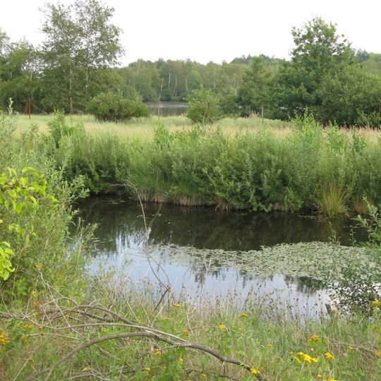 Tävsmoor/Haselauer Moor
