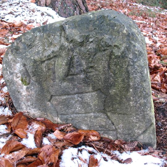 Grenzstein am Weg zur Vogelhütte