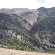 Forêt nationale de Lincoln