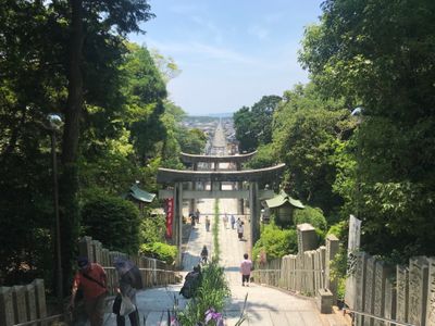 전망 0