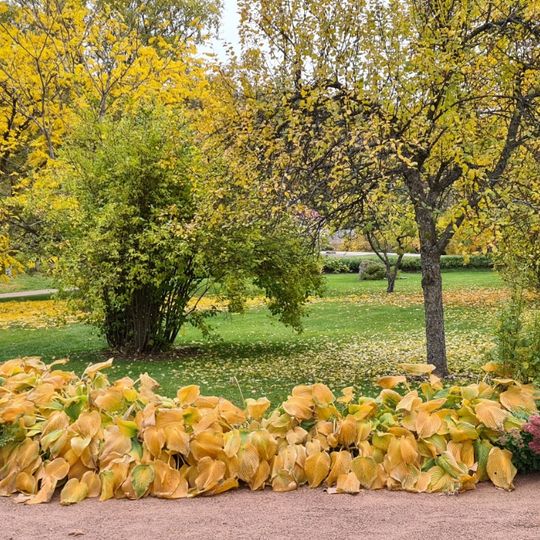 Verla bruk surroundings