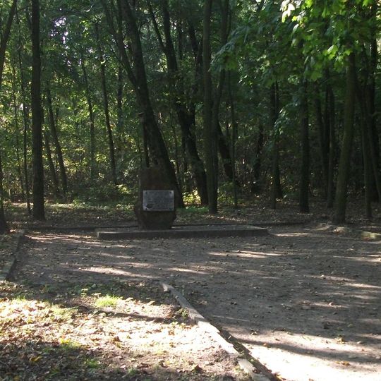 Cmentarz żydowski w Wieluniu