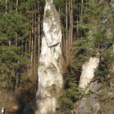 Poluvsianska skalná ihla