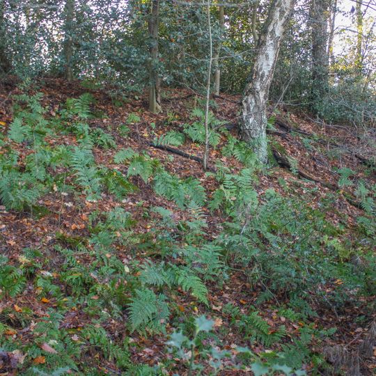 Burg bei Deblinghausen