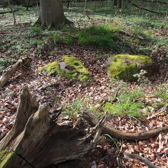 Großsteingrab Malchin 3