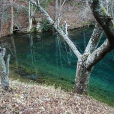 Hiraide Spring