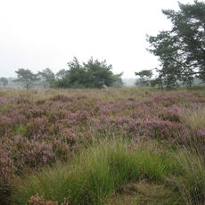 Grenspark De Zoom-Kalmthoutse Heide