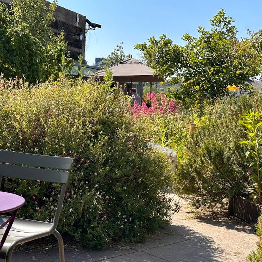 Queen Elizabeth Roof Garden & Bar