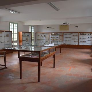 Musée paléontologique et archéologique de Minerve