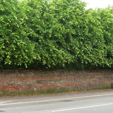 Wall In Front Of Linden Lodge