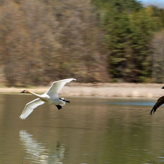 Kortright Centre for Conservation