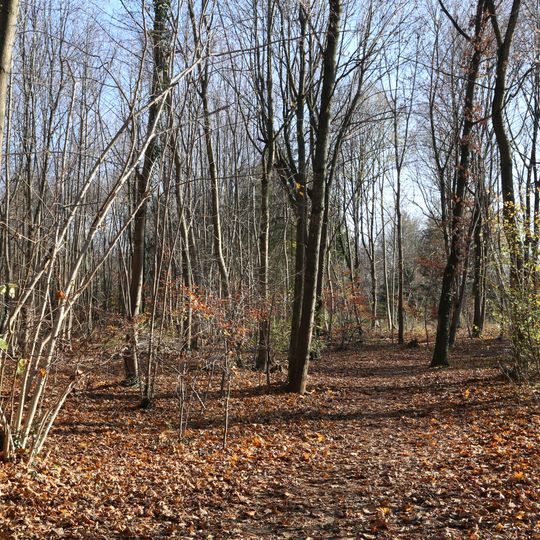 LSG Bahnhofswald im Gebiet der Gemeinden Neubiberg und Ottobrunn