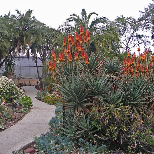 Desert Garden Conservatory