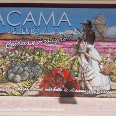 Atacama Desierto Vivo… un homenaje a la mujer atacameña en la historia