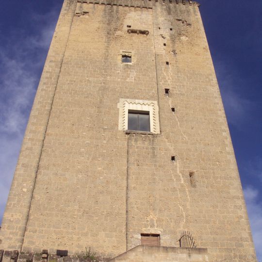 Torre Federiciana