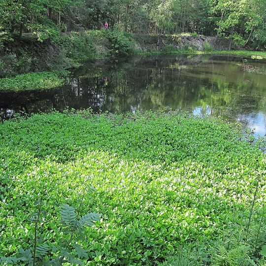 Stříbrné jezírko
