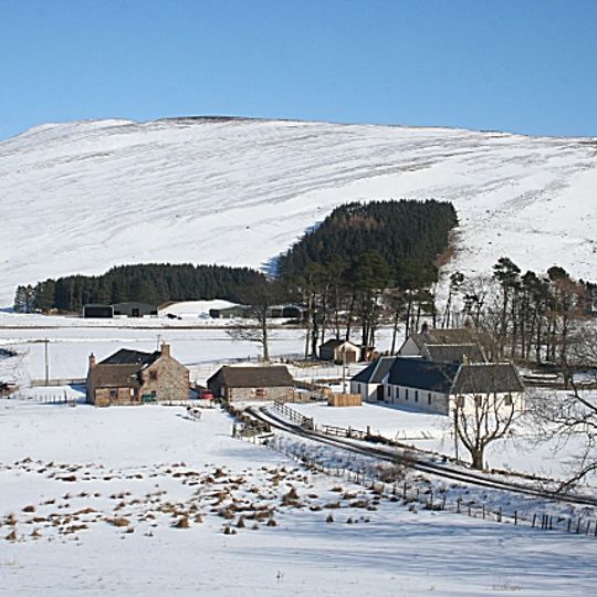 Braeminzion, Steading