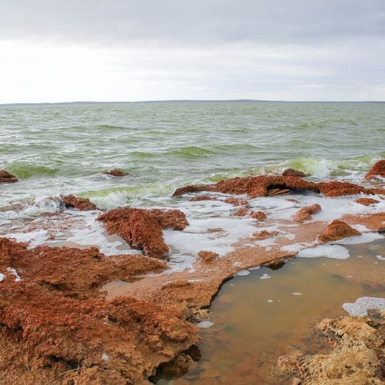 Monumento natural Laguna de los Cisnes