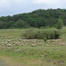 Standortübungsplatz Homberg/Efze