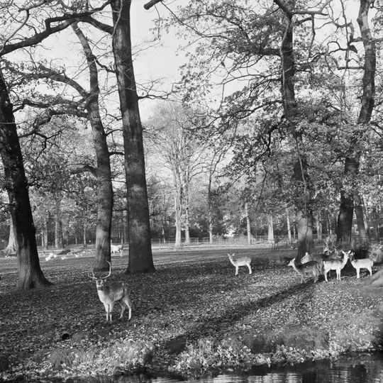 Vreugd en Rust: historische tuin- en parkaanleg