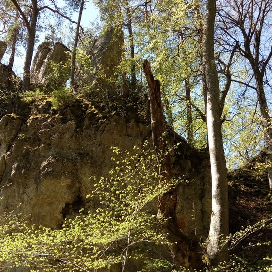 Burgreste Walterstein