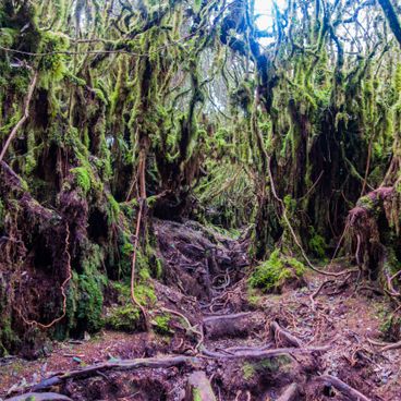 Lieux photographiques en Malaisie : temples, plages, forêts tropicales