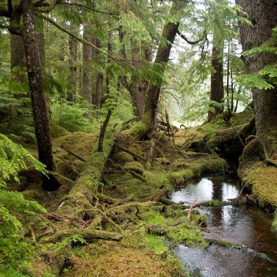 Gwaii Haanas National Park Reserve and Haida Heritage Site