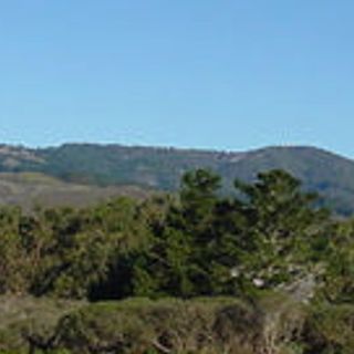 Mount Tamalpais State Park