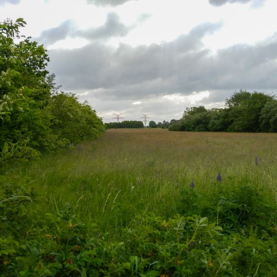 Standortübungsplatz Husum