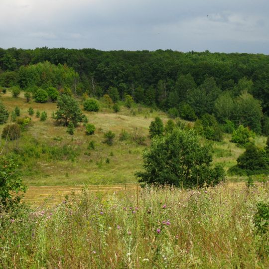 Homilshanska Lisova Dacha