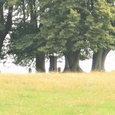 Kříž na pastvině severně od Mikulášovic