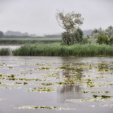 Lake Kolon at Izsák
