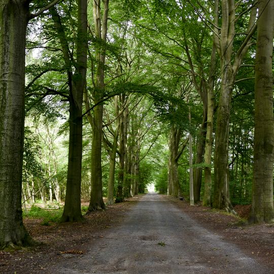 Fondatie van Boudelo