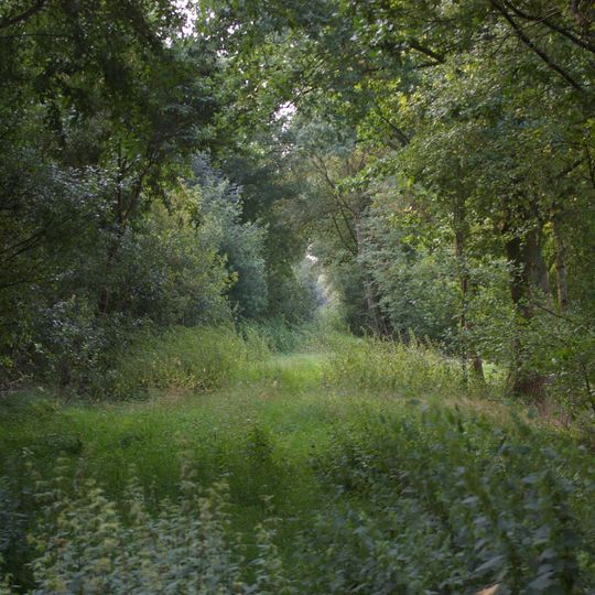 Neustädter Moor-Regenerationsgebiet