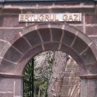 Söğüt