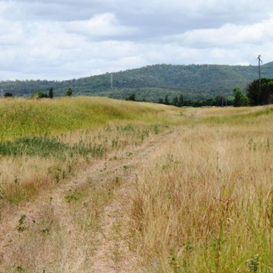 Corduroy Road Remains