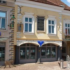 Viechtlmüllerhaus, Mödling