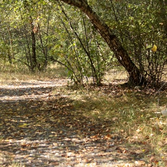 Surrey Bend Regional Park