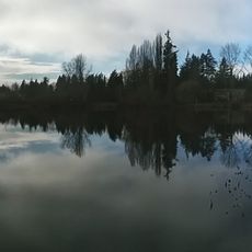 Forbes Lake