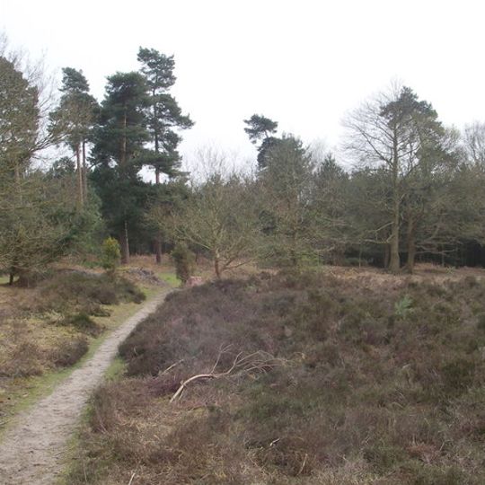 Blaxhall Common